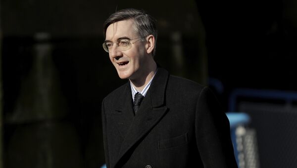 British Conservative Party Member of Parliament (MP) and Brexiteer Jacob Rees-Mogg arrives to speak to the media on Embankment Pier without boarding a fishing boat that went on to take part in a protest stunt with fish being thrown off it into the River Thames outside the Houses of Parliament in London, Wednesday, March 21, 2018 - Sputnik International