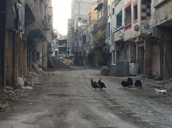 Tension Escalating Near Damascus as Syrian Army Battles Militants Tension Escalating Near Damascus as Syrian Army Battles Militants - Sputnik International