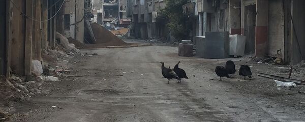 Tension Escalating Near Damascus as Syrian Army Battles Militants - Sputnik International