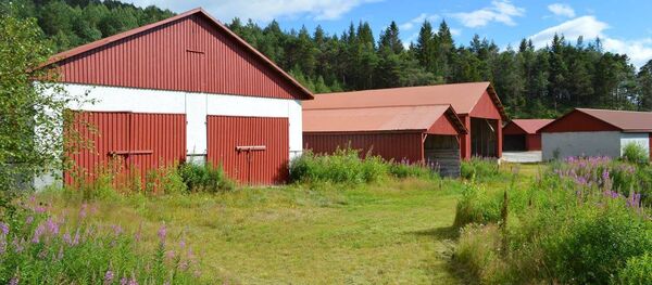 Liberstad - Sputnik International