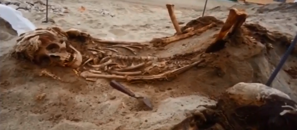 Remains found by researchers at Chimú burial grounds - Sputnik International