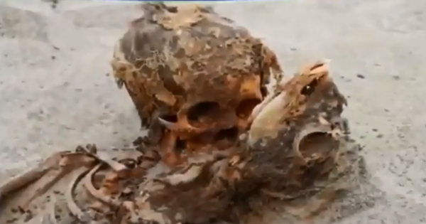 Remains of child and llama found at Chimú burial grounds in Peru Remains of child and llama found at Chimú burial grounds in Peru - Sputnik International