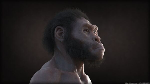 The Wonderful Discovery of Homo Naledi, a New Twist in Anthropology - Sputnik International