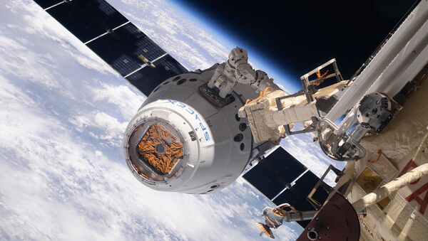 SpaceX Dragon Cargo - Sputnik International