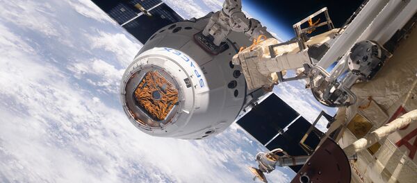 Космический грузовик SpaceX Dragon во время стыковки с МКС Космический грузовик SpaceX Dragon во время стыковки с МКС - Sputnik International