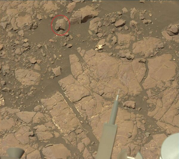 This image was taken by Mastcam: Left (MAST_LEFT) onboard NASA's Mars rover Curiosity on Sol 2009 (2018-04-01 06:25:38 UTC).  - Sputnik International