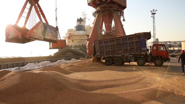 Workers transport imported soybeans at a port in Nantong, Jiangsu province, China April 9, 2018 - Sputnik International