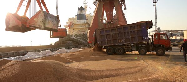 Workers transport imported soybeans at a port in Nantong, Jiangsu province, China April 9, 2018 Workers transport imported soybeans at a port in Nantong, Jiangsu province, China April 9, 2018 - Sputnik International