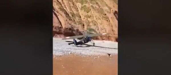 What is he doing? Beachgoers flee for their lives as they film vintage plane making emergency - Sputnik International