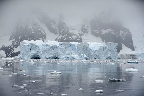 An iceberg floats in Andvord Bay, Antarctica, February 14, 2018 An iceberg floats in Andvord Bay, Antarctica, February 14, 2018 - Sputnik International