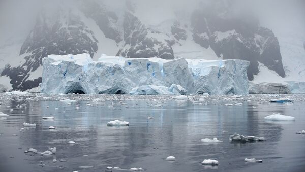 An iceberg floats in Andvord Bay, Antarctica, February 14, 2018 - Sputnik International