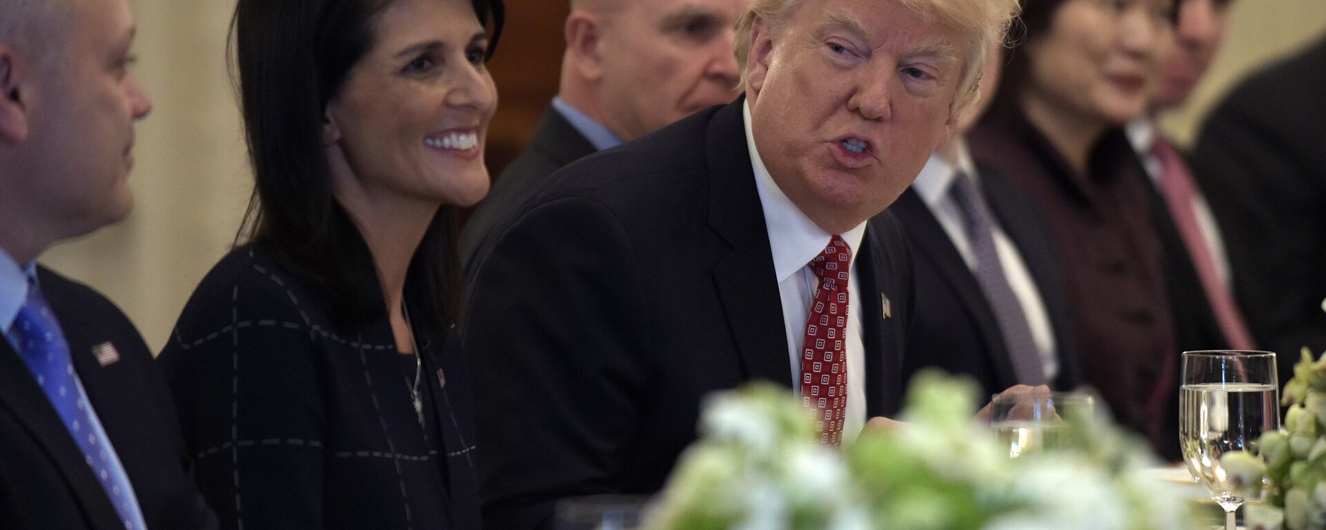 President Donald Trump, sitting next to U.S. Ambassador to the UN Nikki Haley, speaks during a working lunch with ambassadors of countries on the United Nations Security Council and their spouses, Monday, April 24, 2017, in the State Dining Room of the White House in Washington - Sputnik International, 1920, 03.09.2023