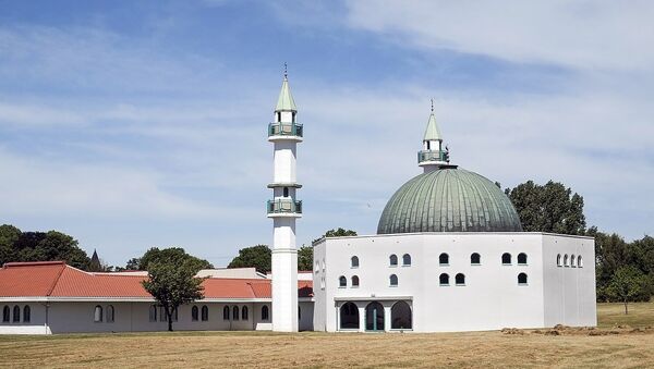 Malmö Mosque (photo used for illustration purpose exclusively) - Sputnik International
