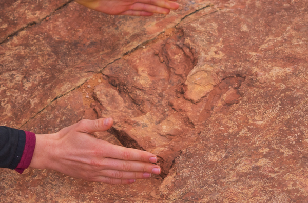 Dinosaur track located at Utah's Red Fleet State Park - Sputnik International