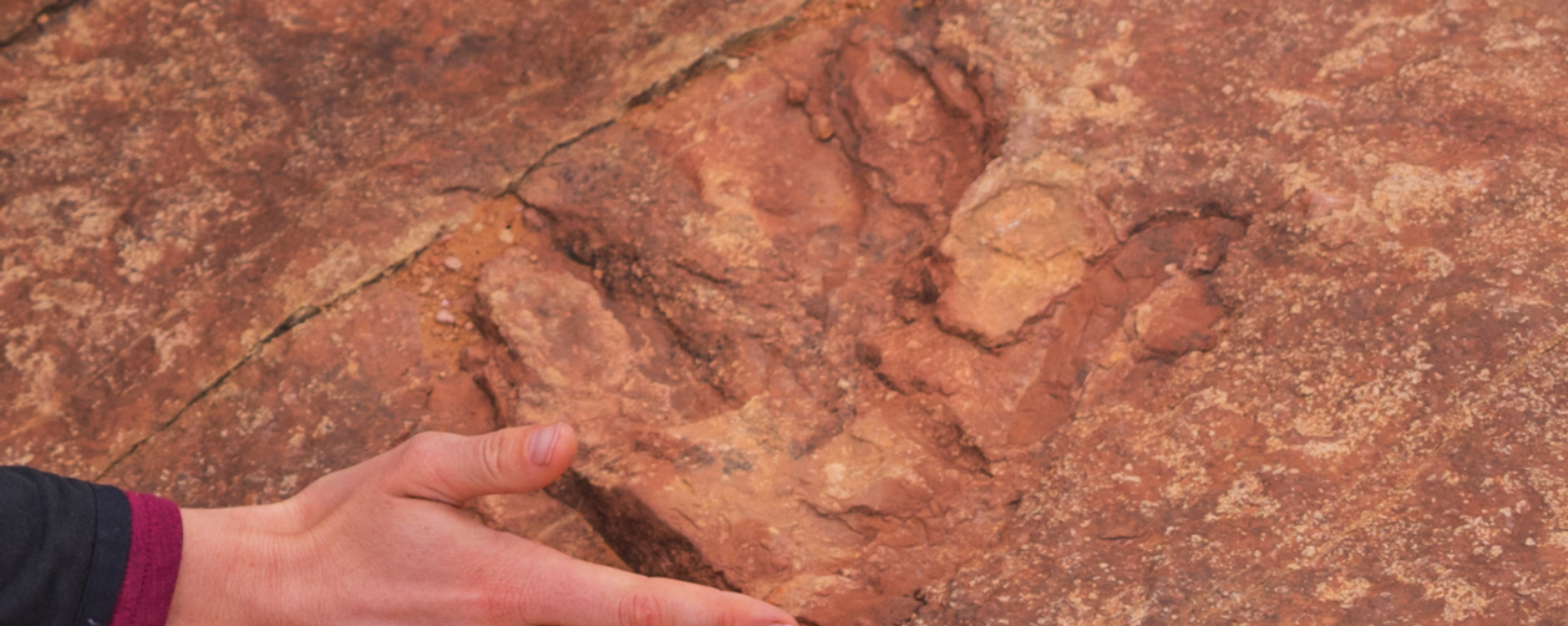 Dinosaur track located at Utah's Red Fleet State Park - Sputnik International, 1920, 30.01.2021