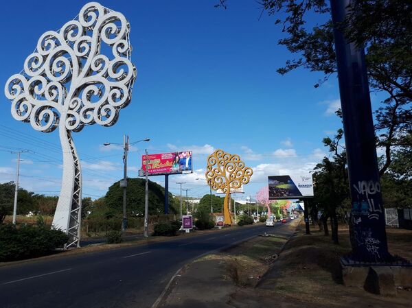 These 'Trees of Life' were erected by Vice President Murillo but were targeted by protesters - Sputnik International