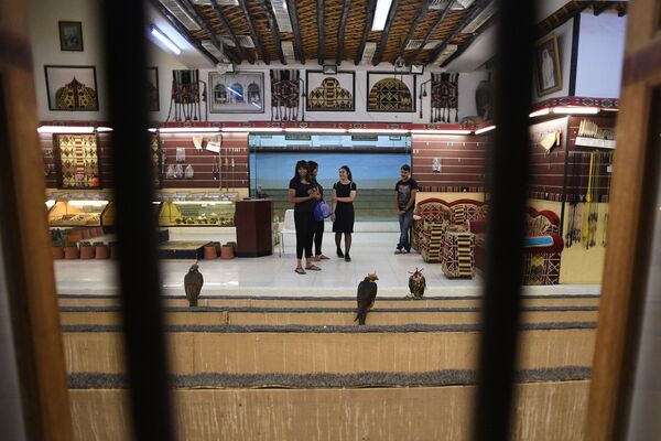 Selling falcons in the capital city of Doha, Qatar. - Sputnik International