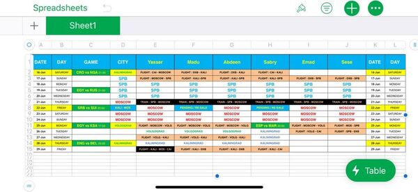 World Cup organization spreadsheet - Sputnik International