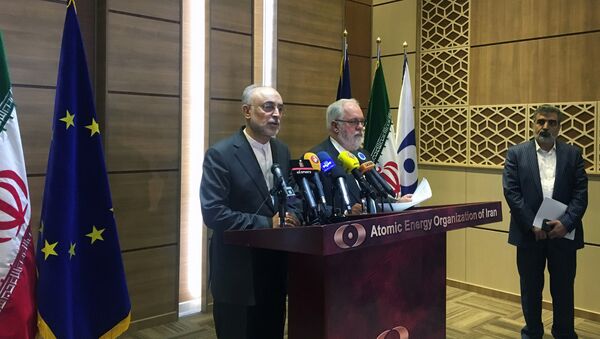 Iran's nuclear chief Ali Akbar Salehi speaks during a joint press conference with European Commissioner for Energy and Climate, Miguel Arias Canete, in Tehran, Iran, May 19, 2018 - Sputnik International