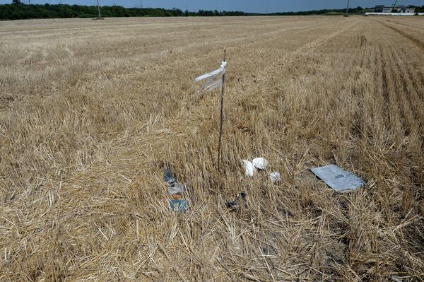 Wreckage at the crash site of the Malaysian Airlines Boeing 777, outside the village of Grabovo, near Shakhtyorsk, Donetsk Region Wreckage at the crash site of the Malaysian Airlines Boeing 777, outside the village of Grabovo, near Shakhtyorsk, Donetsk Region - Sputnik International