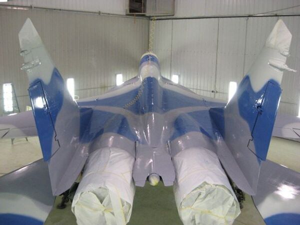 A photograph of one of Ralf Dodt's MiG-29 warplanes (3/3) - Sputnik International