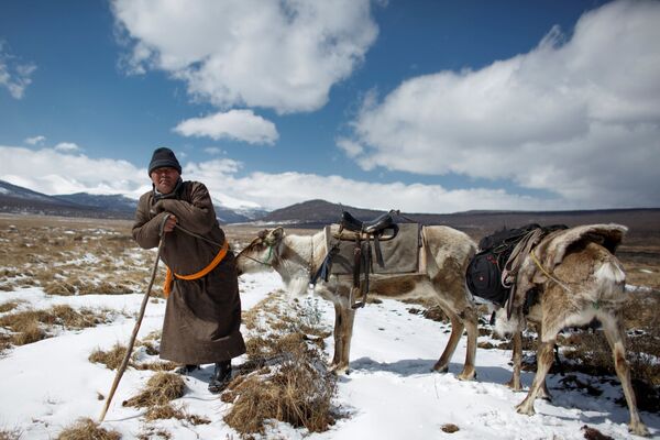 Meet the Inhabitants of Taiga Debris: Reindeer, Herders and Shamans of Mongolia - Sputnik International
