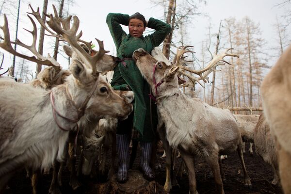 Meet the Inhabitants of Taiga Debris: Reindeer, Herders and Shamans of Mongolia - Sputnik International