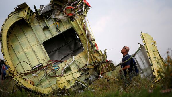 A Malaysian air crash investigator inspects the crash site of Malaysia Airlines Flight MH17, near the village of Hrabove (Grabovo) in Donetsk region, Ukraine, July 22, 2014 - Sputnik International
