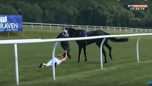 Hayley Moore - At The Races presenter amazingly catches loose horse - Sputnik International