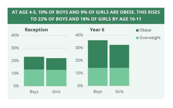 House of Commons Library Briefing Paper: Obesity Statistics House of Commons Library Briefing Paper: Obesity Statistics - Sputnik International