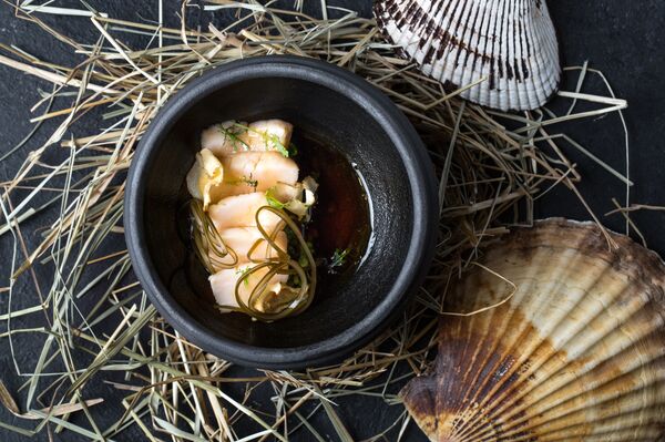 Baran-Rapan’s Glazed scallops with Indian cress and umami broth Baran-Rapan’s Glazed scallops with Indian cress and umami broth - Sputnik International