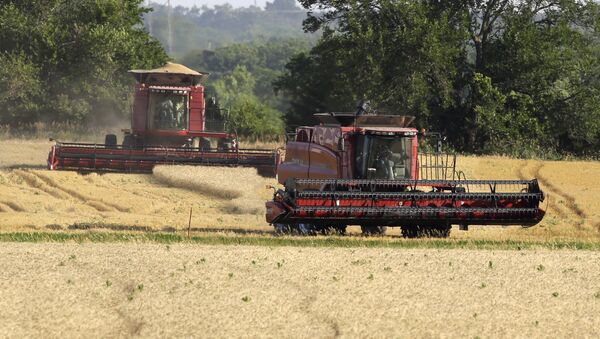 A combine moves to the next field while an other makes its last cut while harvesting wheat near Andover, Kan. (File) - Sputnik International