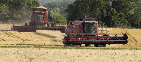A combine moves to the next field while an other makes its last cut while harvesting wheat near Andover, Kan. (File) A combine moves to the next field while an other makes its last cut while harvesting wheat near Andover, Kan. (File) - Sputnik International
