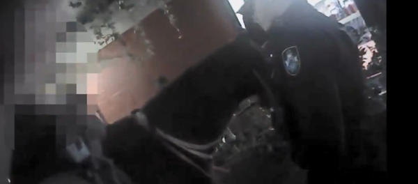 Australian woman drives horse drunk Australian woman drives horse drunk - Sputnik International