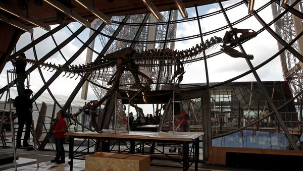 Workers reconstruct dinosaur fossil at the Eiffel tower, in Paris, France, June 2, 2018 ahead of its auction on Monday. - Sputnik International