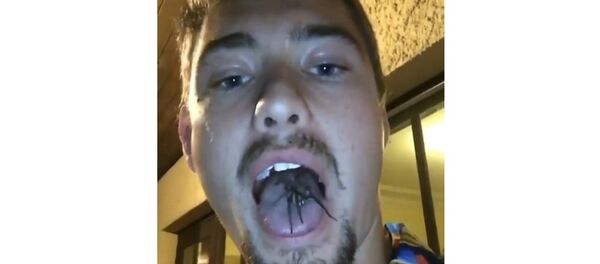 Probably one of the worst things ever Probably one of the worst things ever - Sputnik International