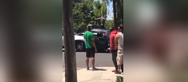 California road rage incident - Sputnik International