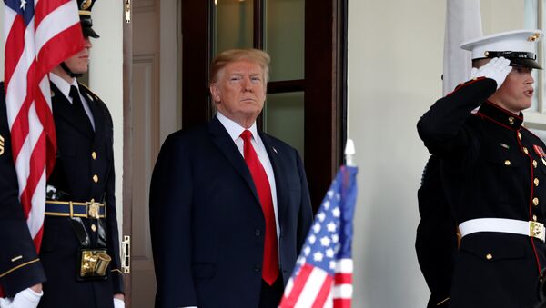 U.S. President Donald Trump awaits the arrival of Japanese Prime Minister Shinzo Abe at the White House in Washington, U.S., June 7, 2018 - Sputnik International