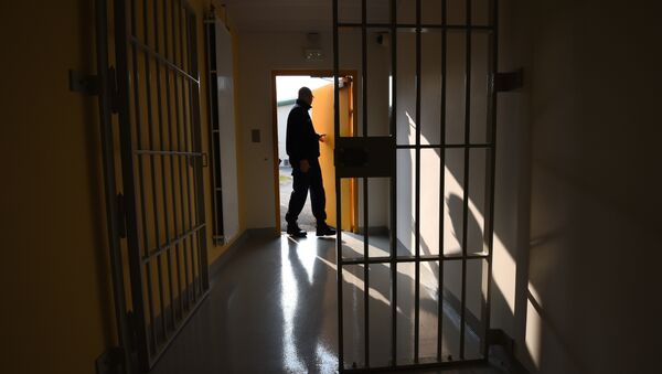 A prison guard open a door during a press visit on October 14, 2015 in the new prison in Valence, southeastern France - Sputnik International