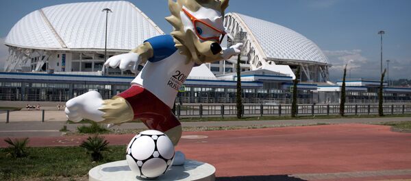 Подготовка Сочи к ЧМ-2018 по футболу Подготовка Сочи к ЧМ-2018 по футболу - Sputnik International