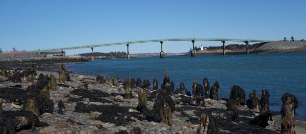International Bridge between Lubec and Campobello Island International Bridge between Lubec and Campobello Island - Sputnik International