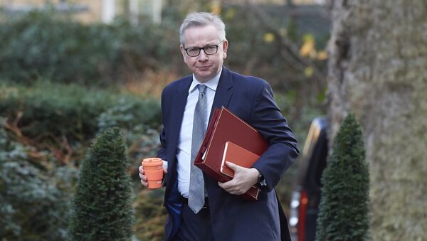 Britain's Environment, Food and Rural Affairs Secretary Michael Gove arrives at 10 Downing street in central London for a cabinet meeting on January 16, 2018 - Sputnik International
