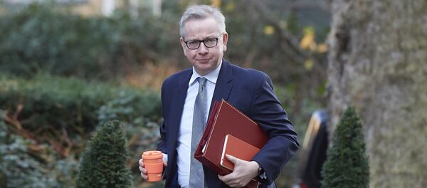 Britain's Environment, Food and Rural Affairs Secretary Michael Gove arrives at 10 Downing street in central London for a cabinet meeting on January 16, 2018 Britain's Environment, Food and Rural Affairs Secretary Michael Gove arrives at 10 Downing street in central London for a cabinet meeting on January 16, 2018 - Sputnik International