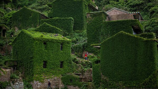 Going Green: Nature Conquers Abandoned Houses on Chinese Island - Sputnik International