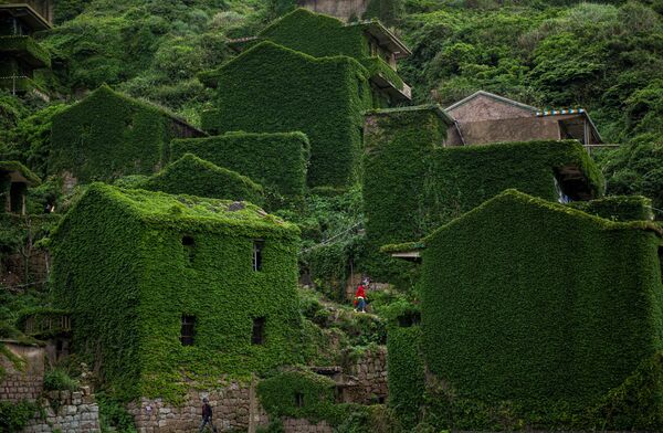 Going Green: Nature Conquers Abandoned Houses on Chinese Island - Sputnik International