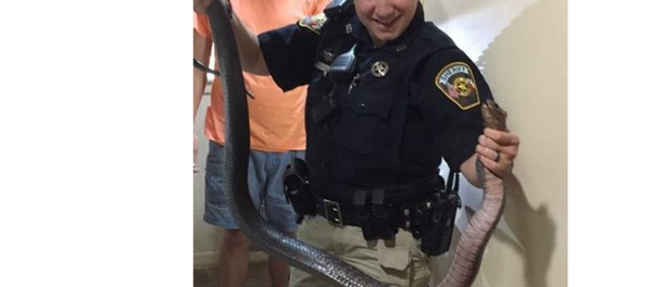 Snake - Sputnik International