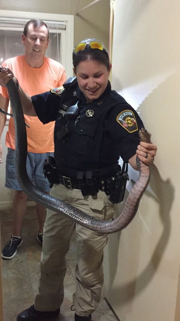 Snake in Texas - Sputnik International