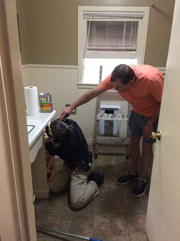 Snake in Texas - Sputnik International