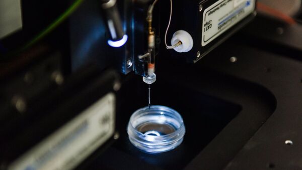 Подготовка сканирующего ион-проводящего микроскопа для сканирования живых клеток - Sputnik International