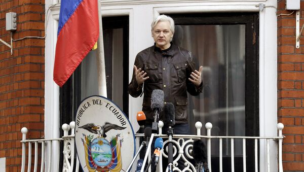 WikiLeaks founder Julian Assange gestures as he speaks on the balcony of the Ecuadorian embassy, in London, Friday May 19, 2017. - Sputnik International